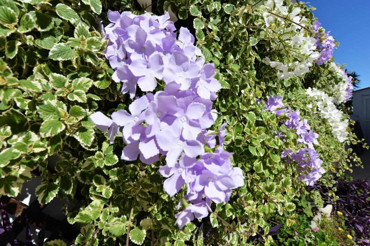 Apartment Lavender Vir Exterior photo
