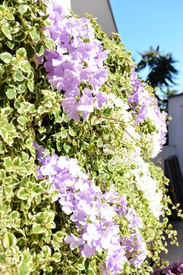 Apartment Lavender Vir Exterior photo